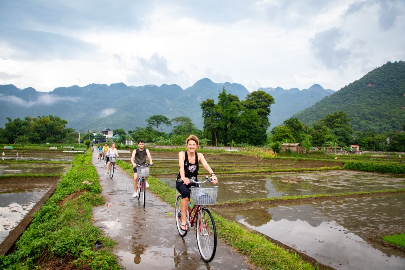 Group of tourists cycling through flooded rice paddies with limestone mountains, northern Thailand